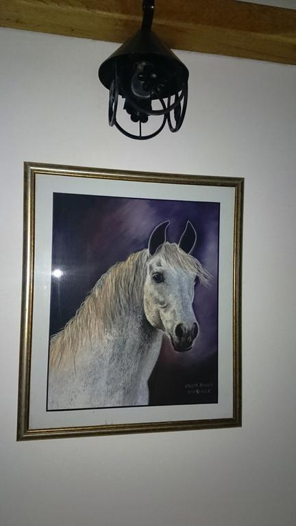 Guest House Zlatiborski Pastuv Екстер'єр фото